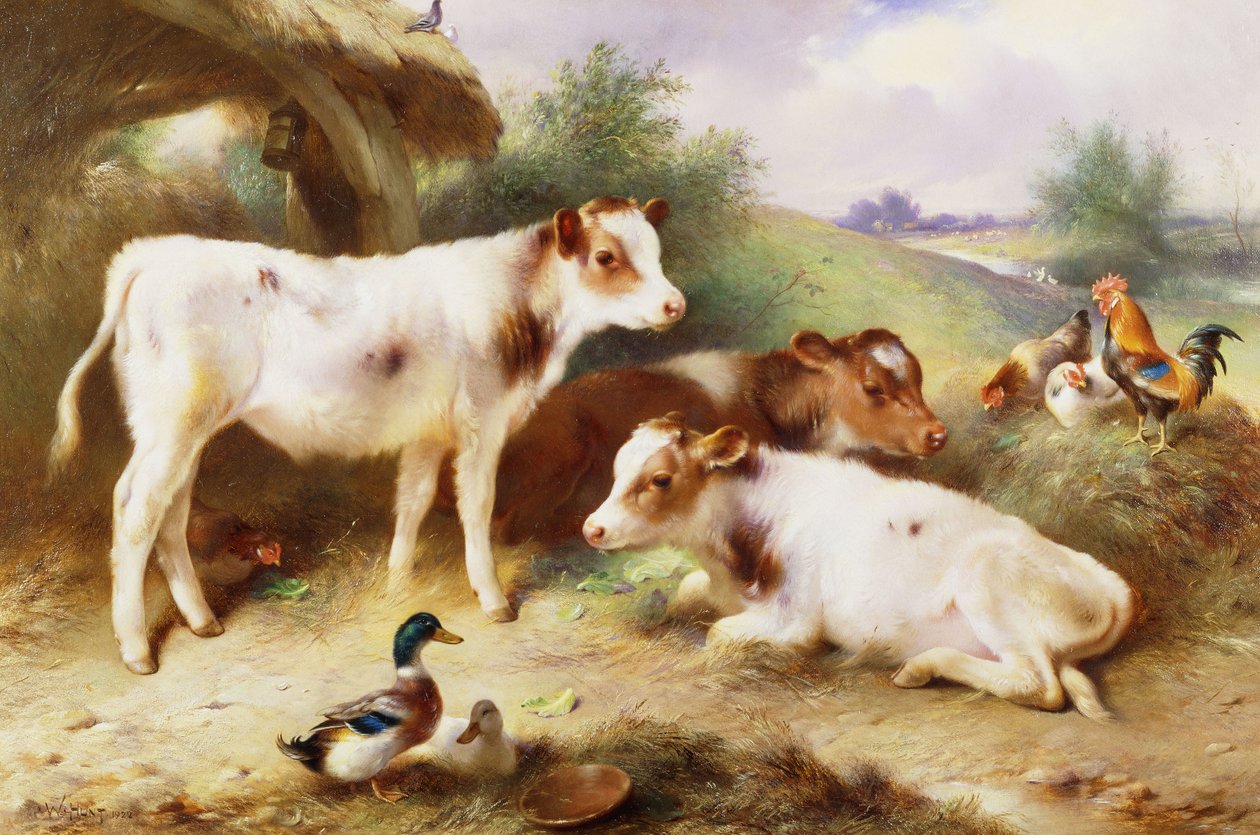 Kälber und Geflügel bei einem Stall von Walter Hunt