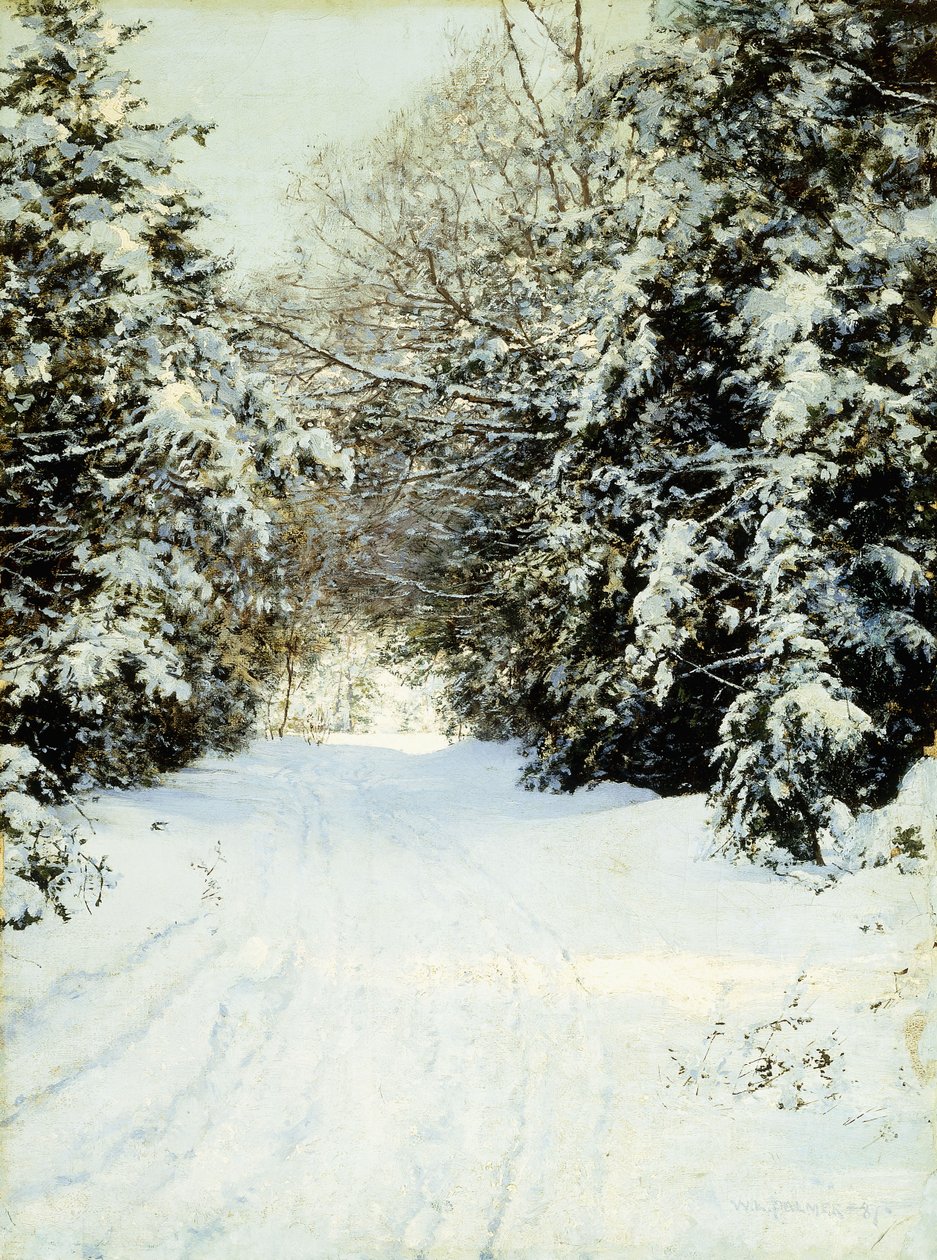 Schneebeladene Bäume von Walter Launt Palmer