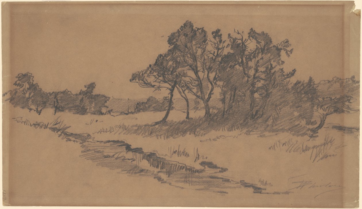 Bäume auf einem Feld von Walter Shirlaw