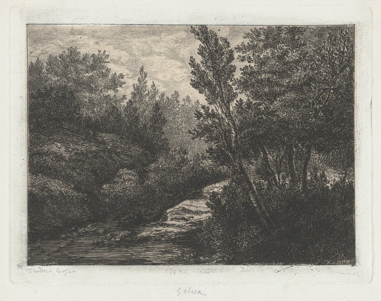 Selva (Wälder) von Walter Teodoro Bosio