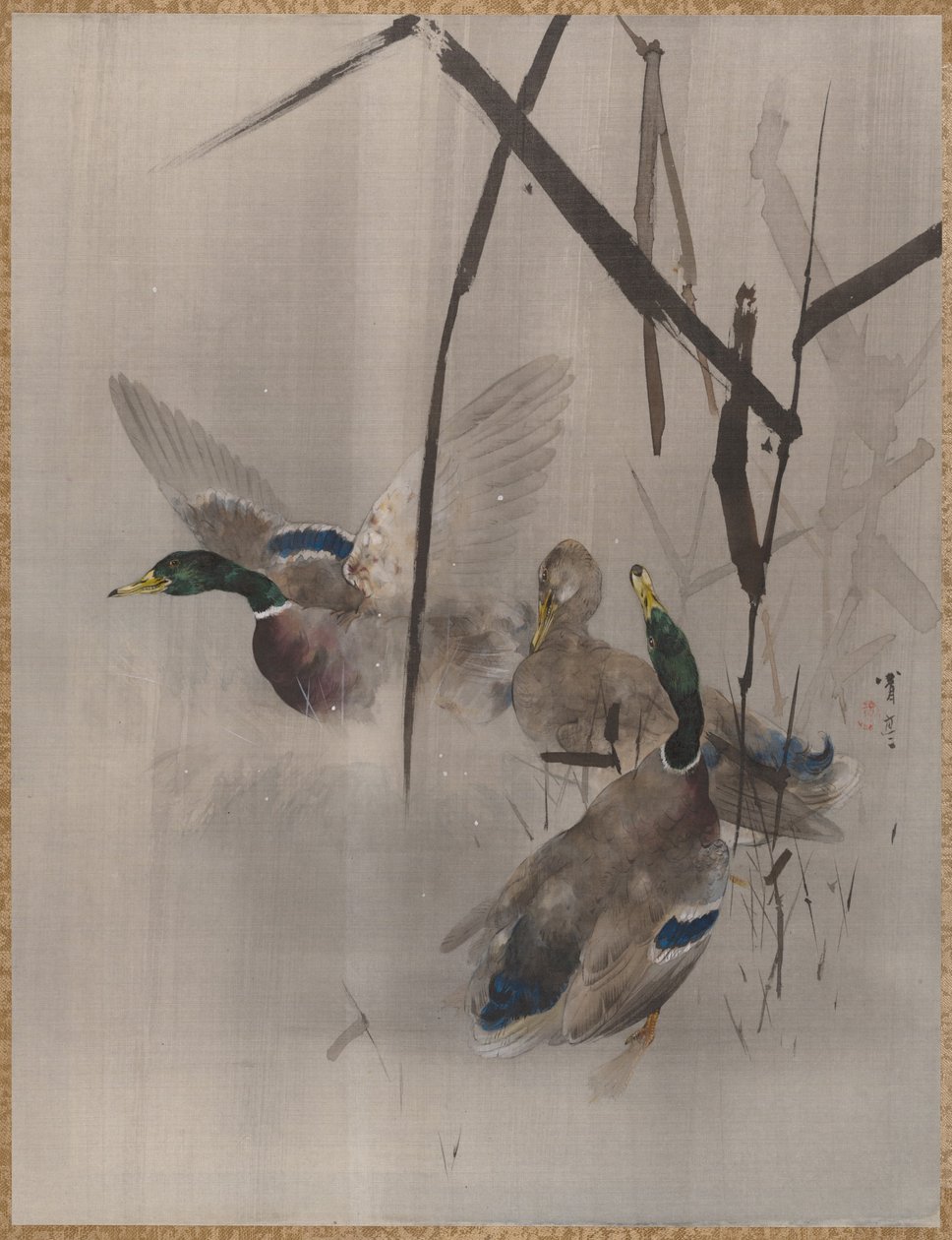 Enten im Schilf (ca. 1887) von Watanabe Seitei
