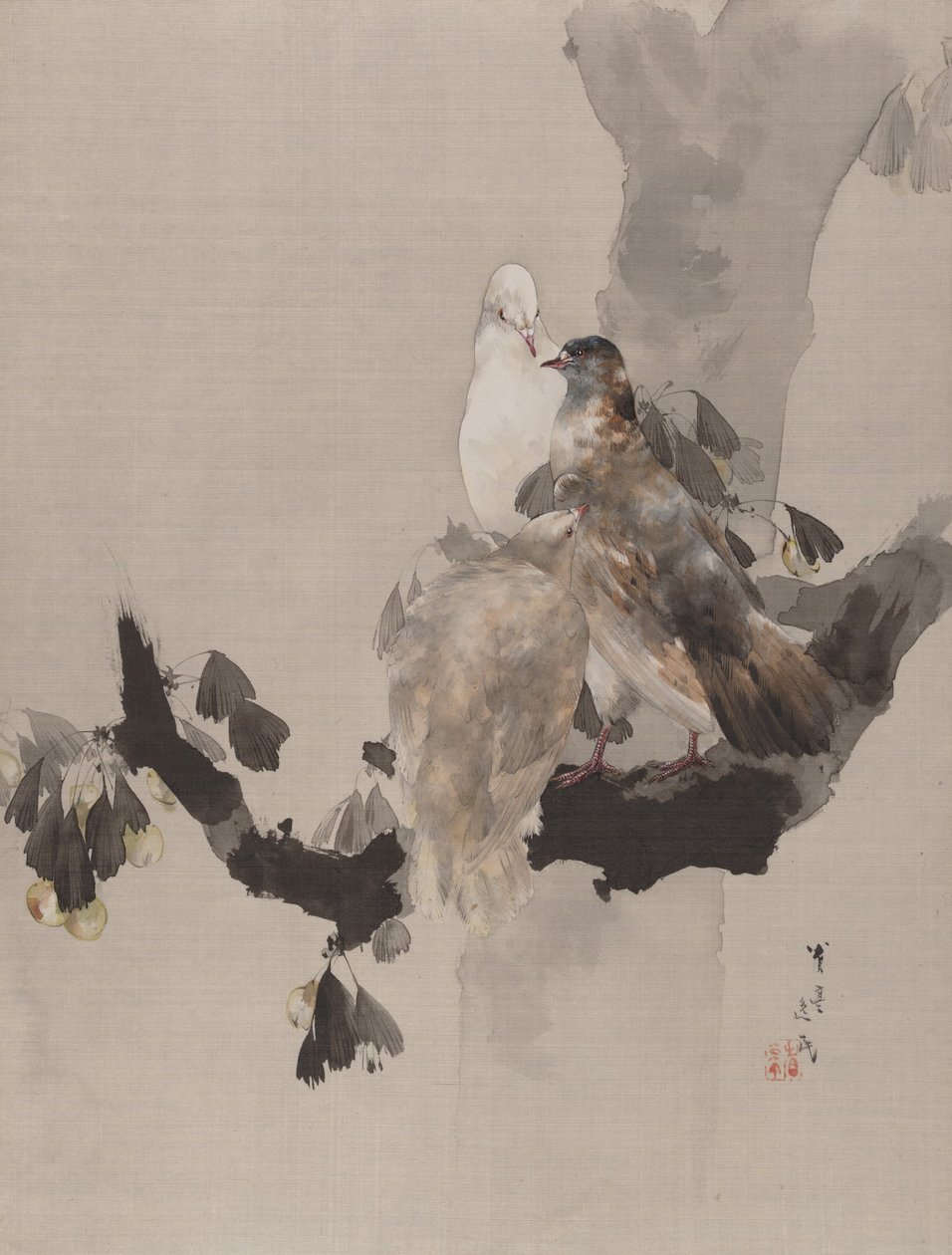 Tauben in einem Baum, ca. 1887 von Watanabe Seitei