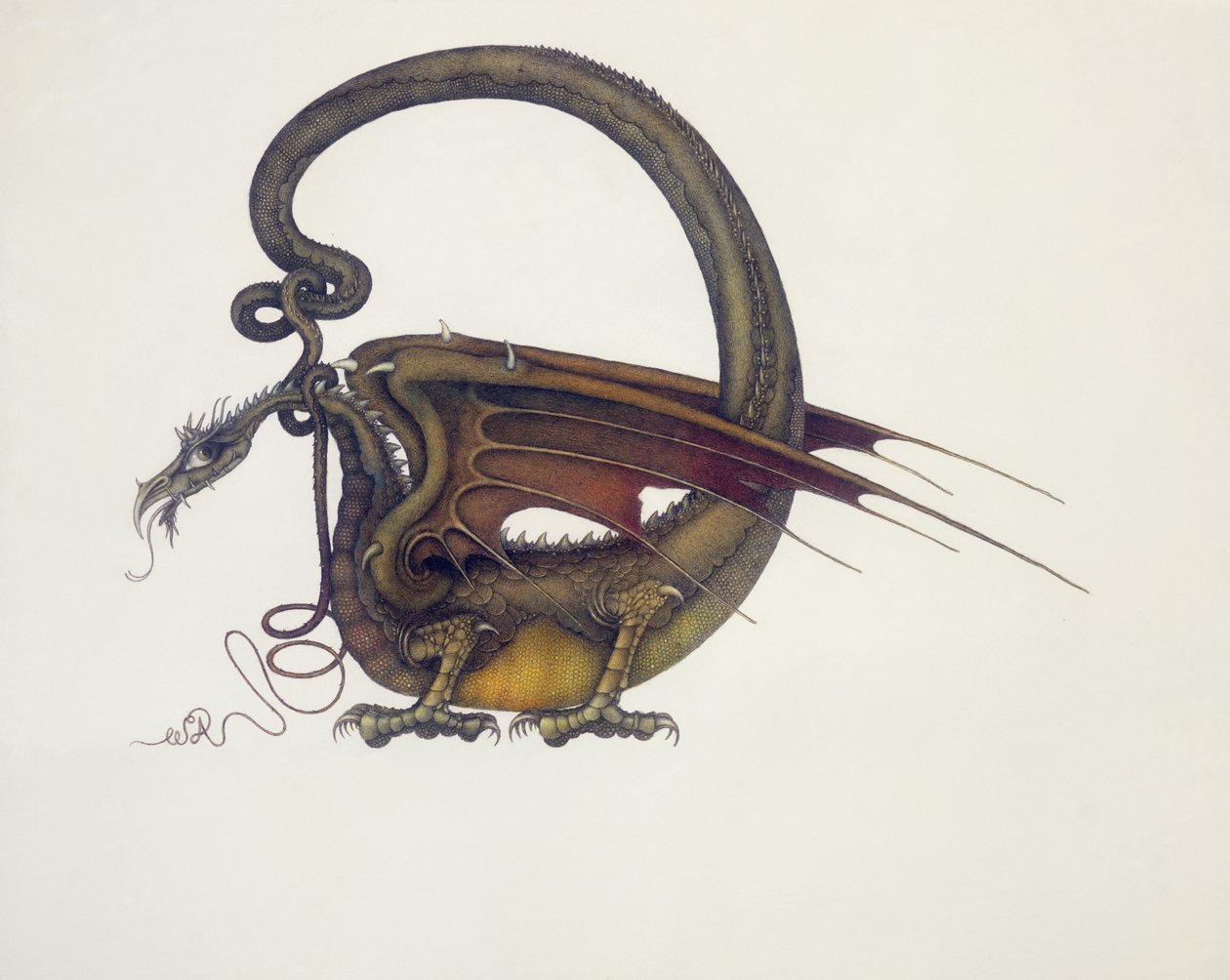 D steht für Drache von Wayne Anderson