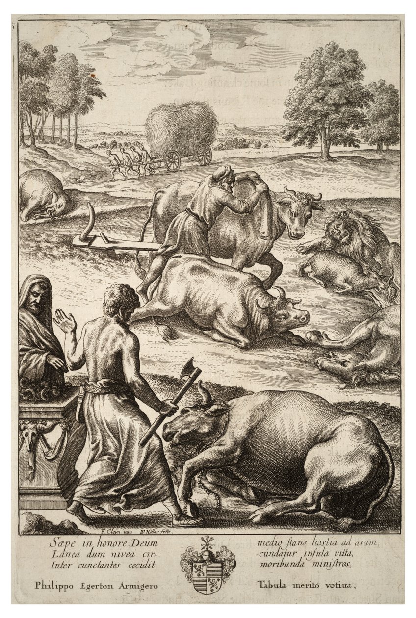 Rinderpest. Zustand 2 von Wenceslaus Hollar