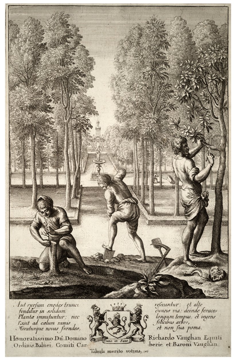 Gartenarbeit. Zustand 1 von Wenceslaus Hollar