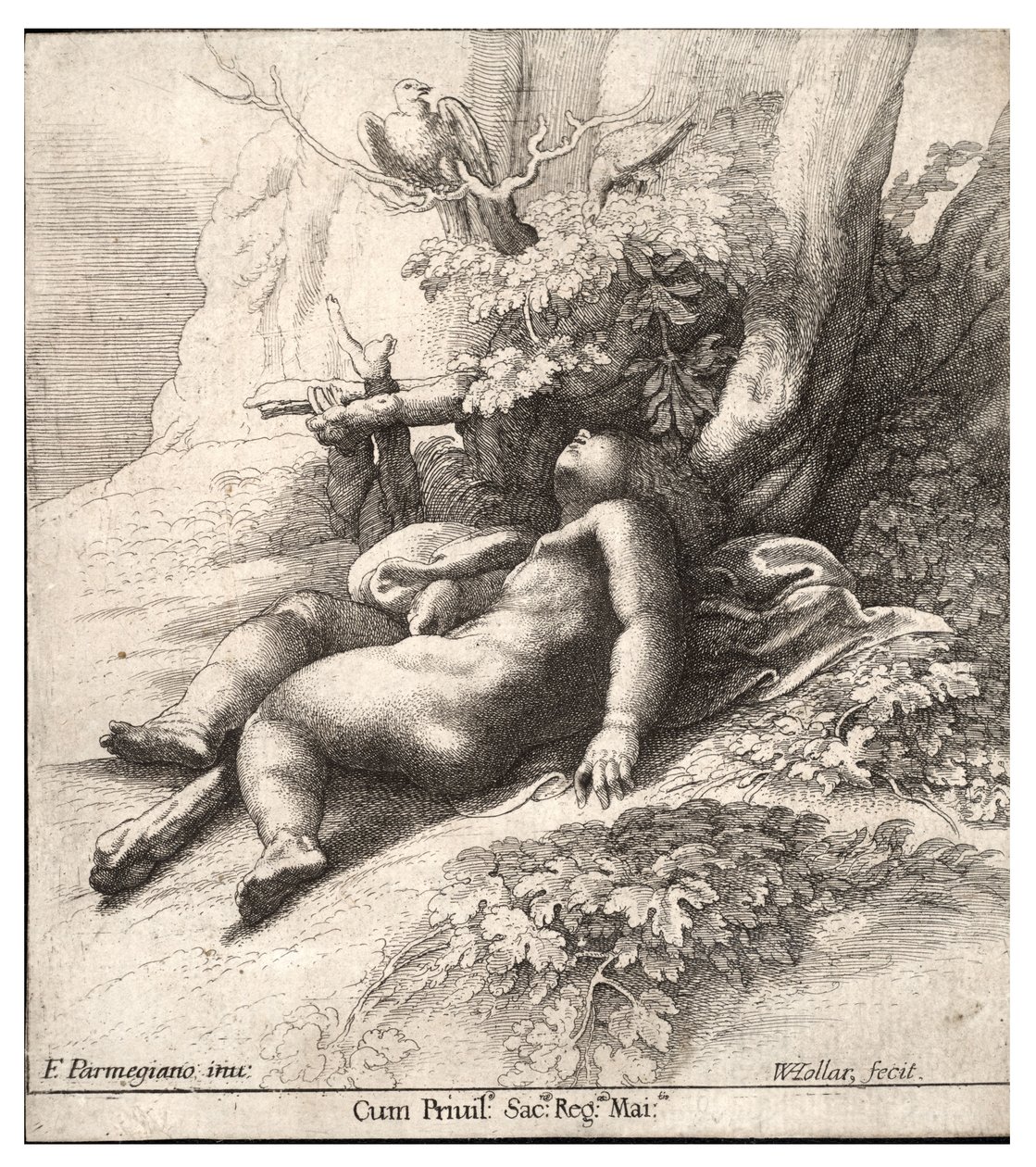 Schlafender junger Herkules, nach Parmegiano. Zustand 2 von Wenceslaus Hollar