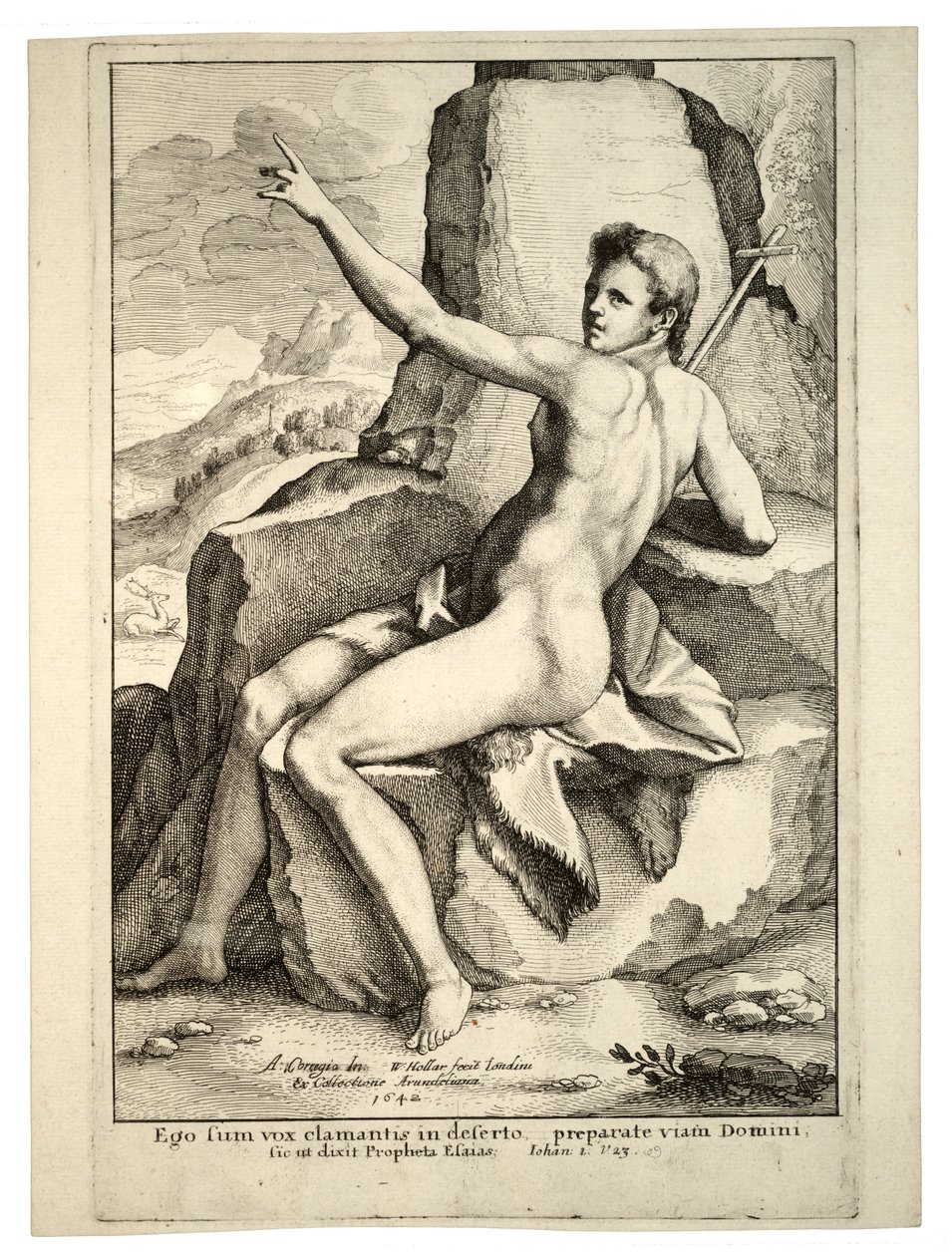Johannes der Täufer. Zustand 2 von Wenceslaus Hollar