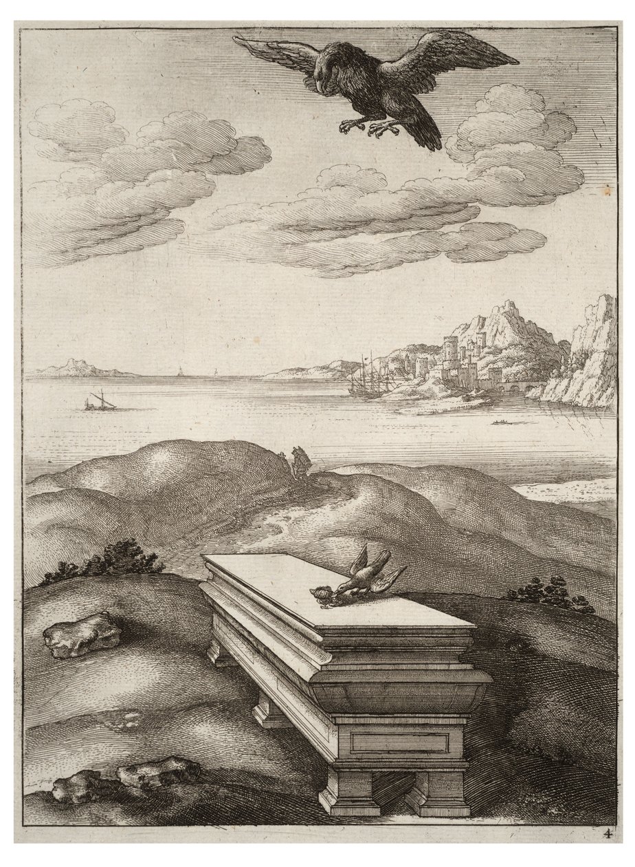 Der Adler und die Dohle von Wenceslaus Hollar