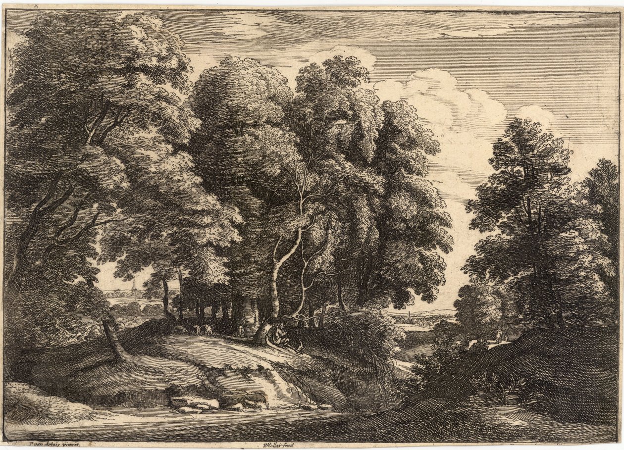 Der Hirte im Wald von Wenceslaus Hollar