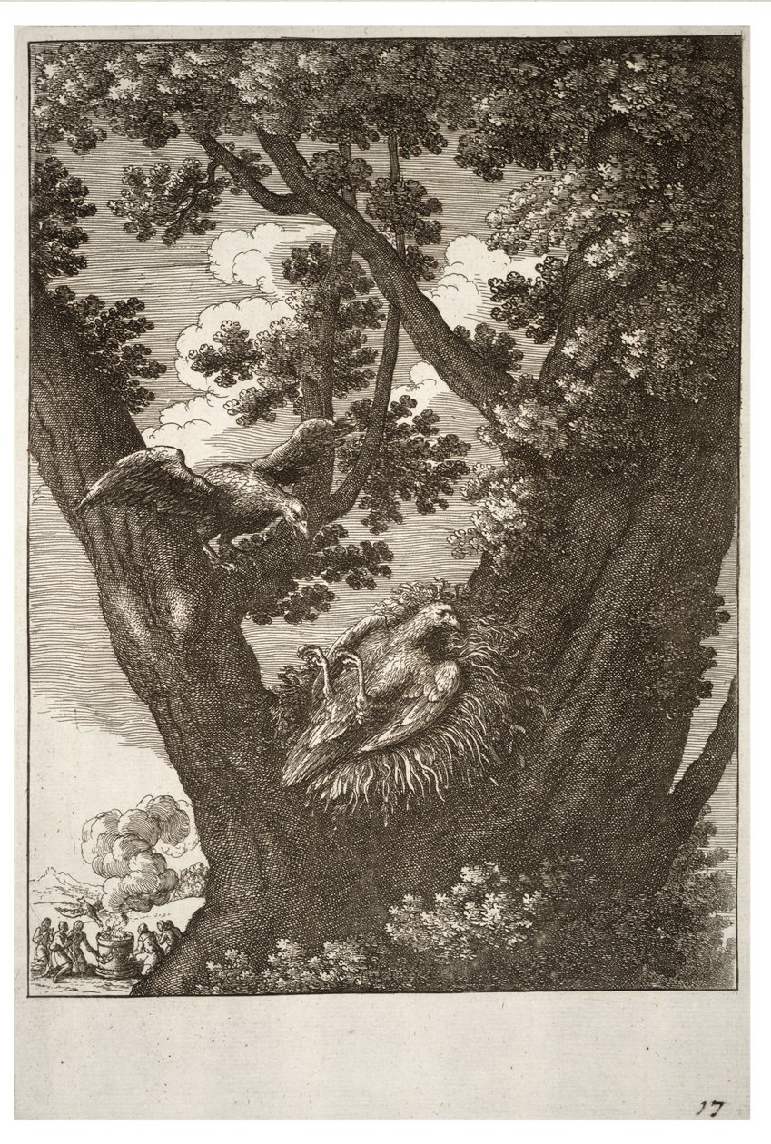 Der kranke Drachen und seine Mutter von Wenceslaus Hollar