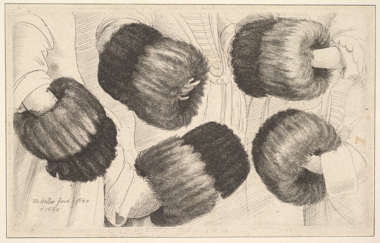 Ein Muff in fünf Ansichten, 1645-46 von Wenceslaus Hollar
