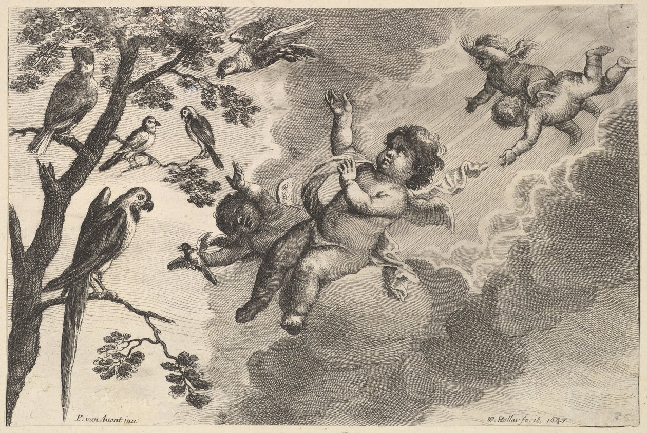 Luft Die vier Elemente, ca. 1647 von Wenceslaus Hollar