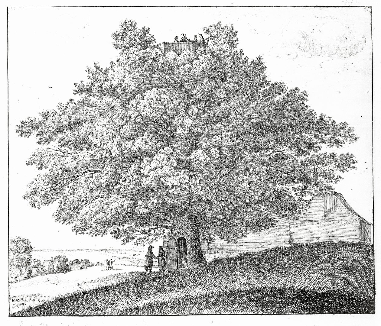 Hohler Baum in Hampstead, 1663 von Wenceslaus Hollar