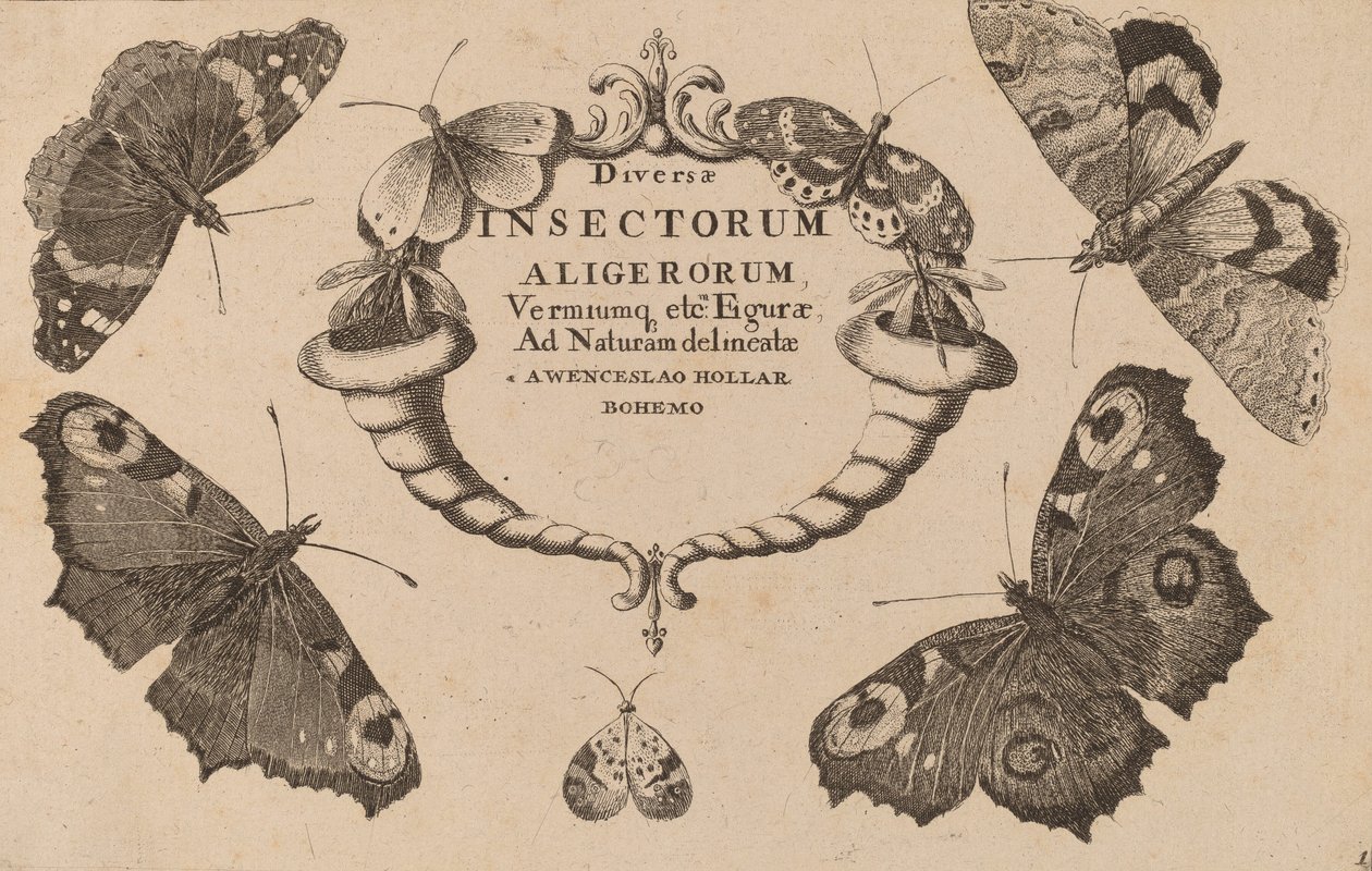 Titelseite von Wenceslaus Hollar