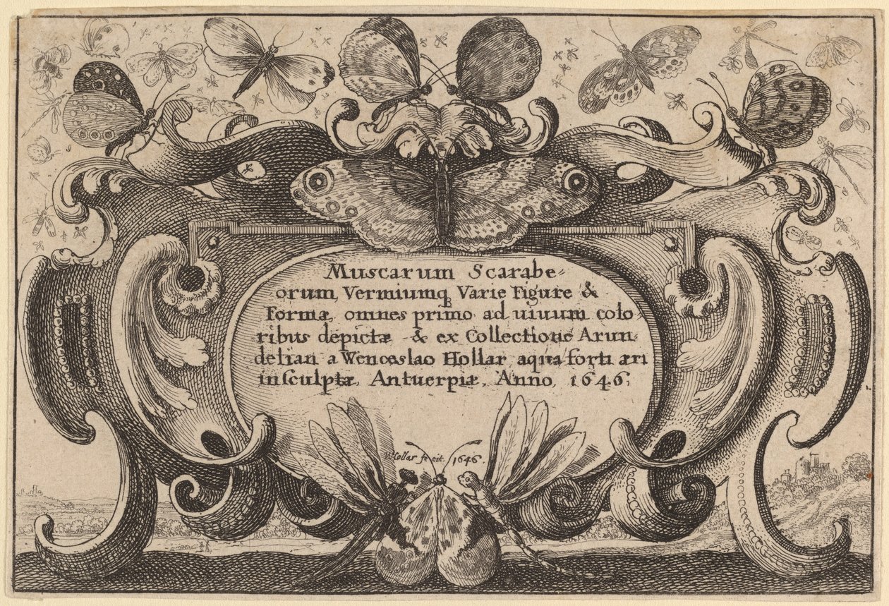 Titelseite von Wenceslaus Hollar