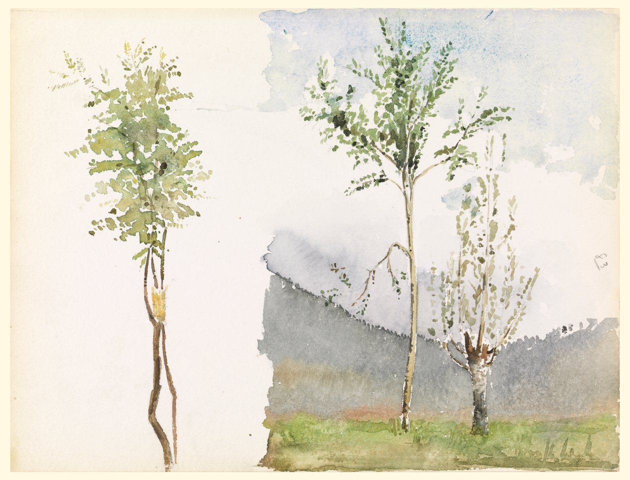 Landschaftsskizzen von Whitney Warren Jr.