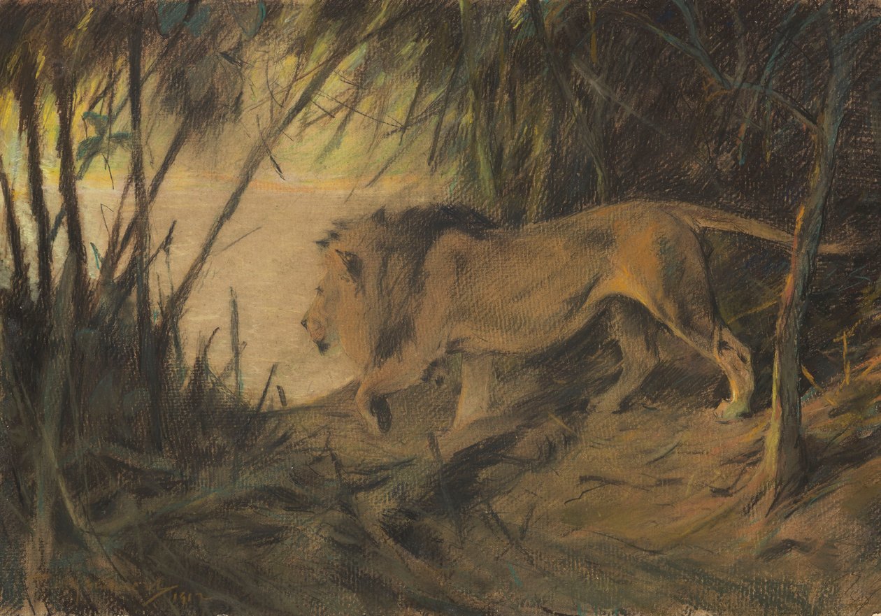 Löwe, zum Fluss ziehend von Wilhelm Kuhnert