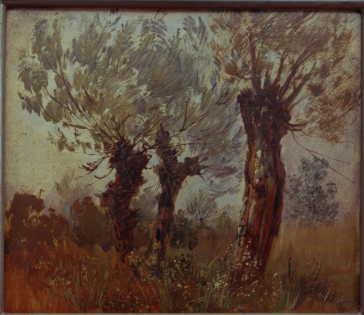 Drei alte Weiden von Wilhelm Busch