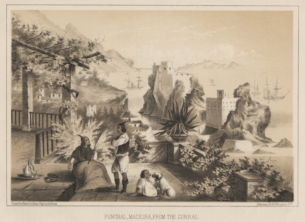 Funchal, Madeira, vom Curral, 1885 von Wilhelm Joseph Heine
