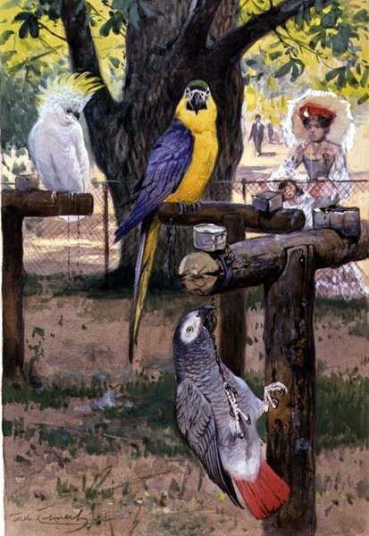 Im Zoo von Wilhelm Kuhnert