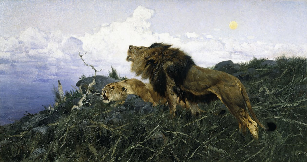 Löwen in der Dämmerung von Wilhelm Kuhnert