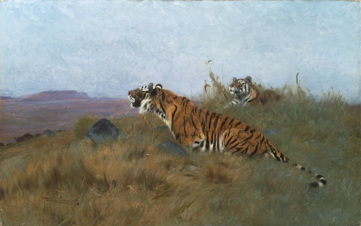 Tiger, die ihre Beute verfolgen von Wilhelm Kuhnert