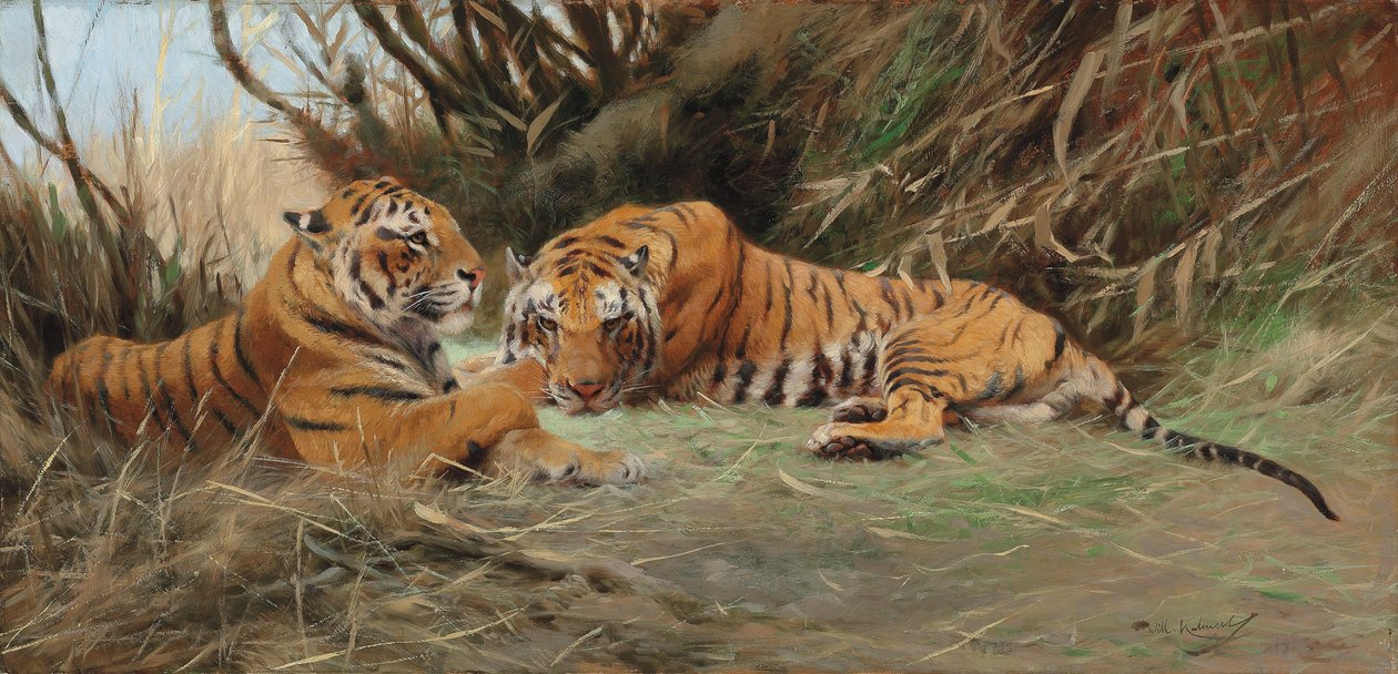 Tiger bei Morgengrauen, 1913 von Wilhelm Kuhnert