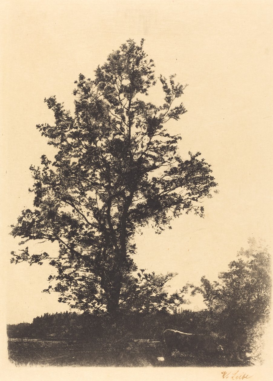 Der große Baum von Wilhelm Maria Hubertus Leibl