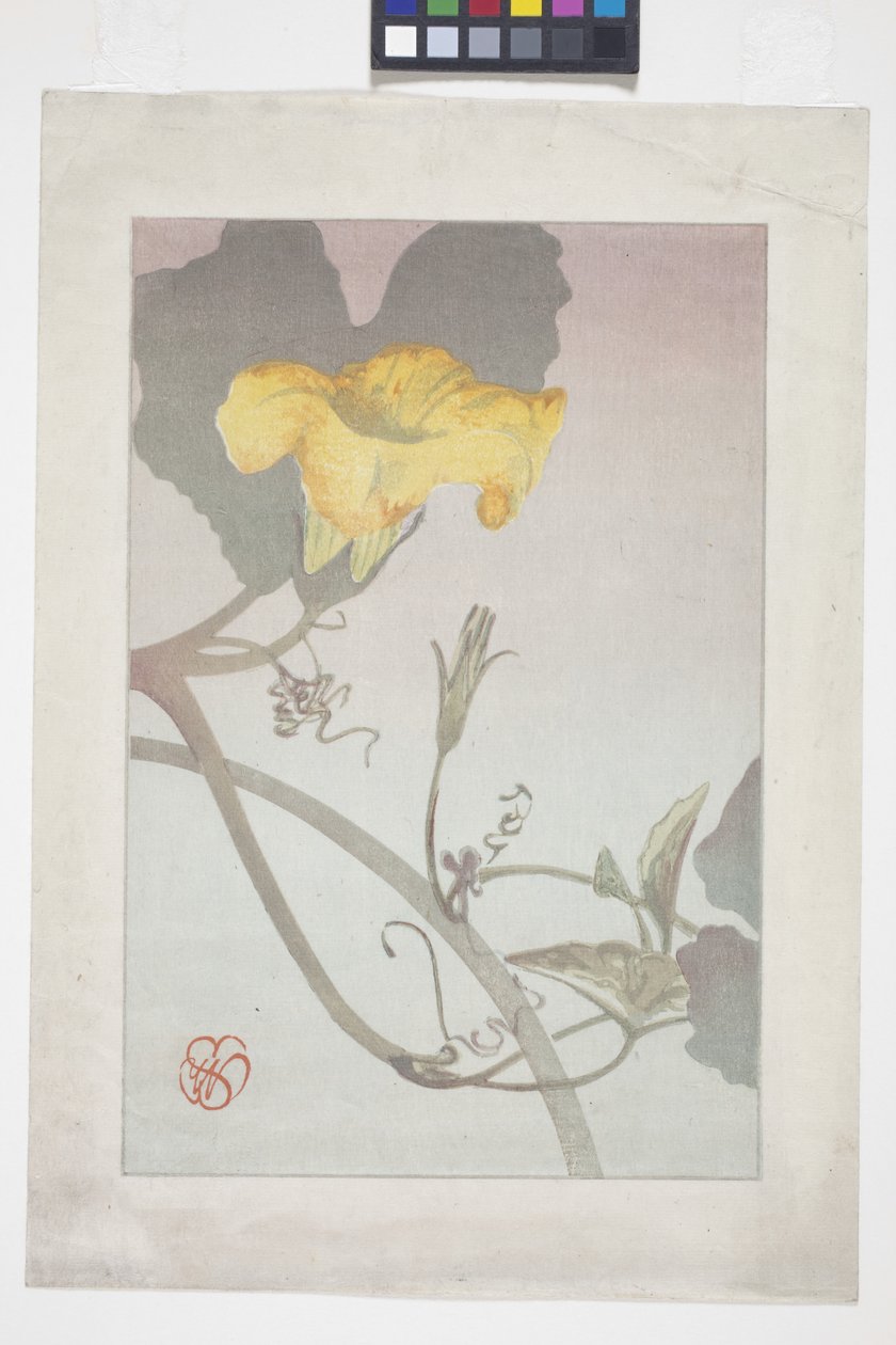 Blumenstudie von Wilhelmina Seegmiller