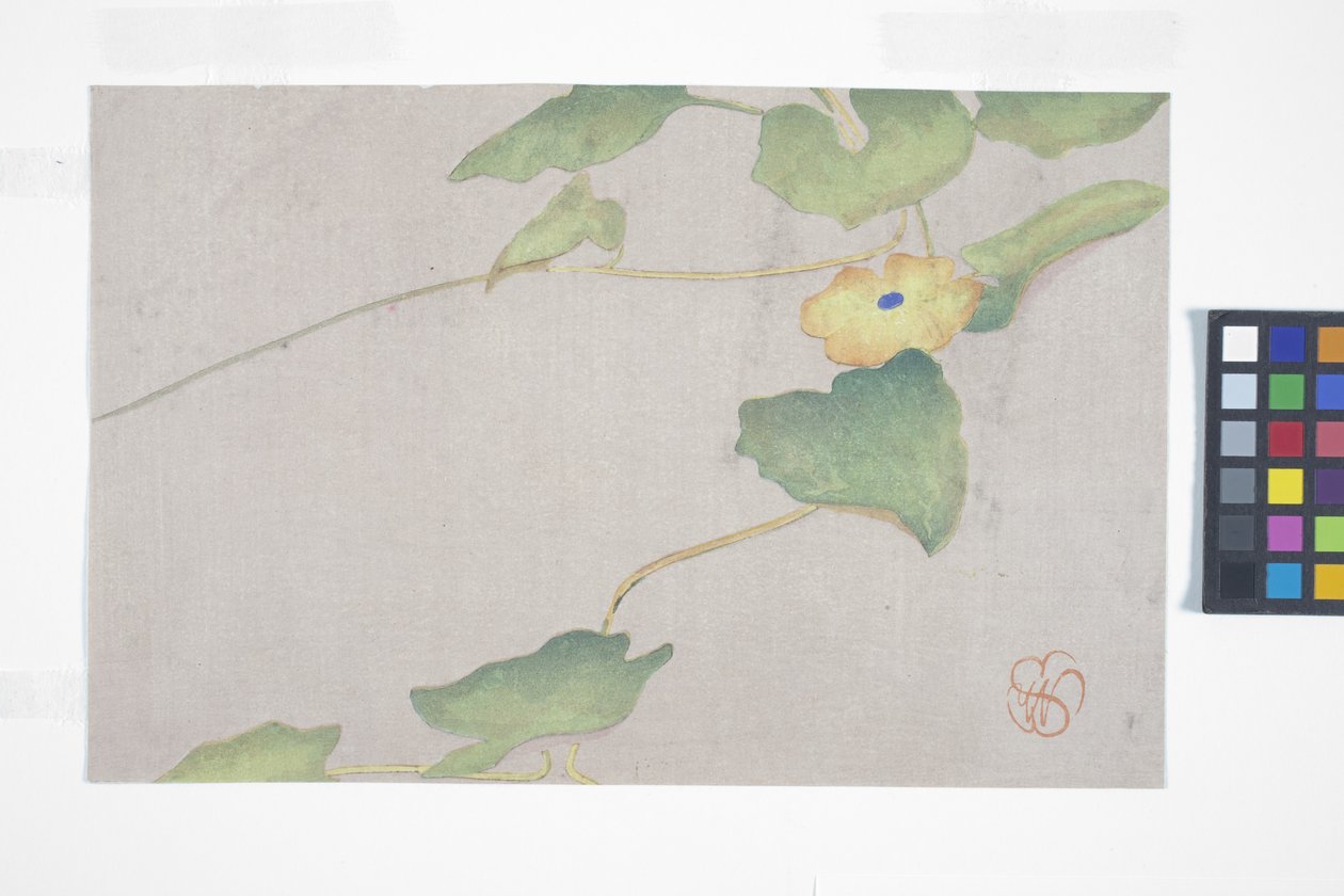 Blumenstudie, ca. 1908 von Wilhelmina Seegmiller