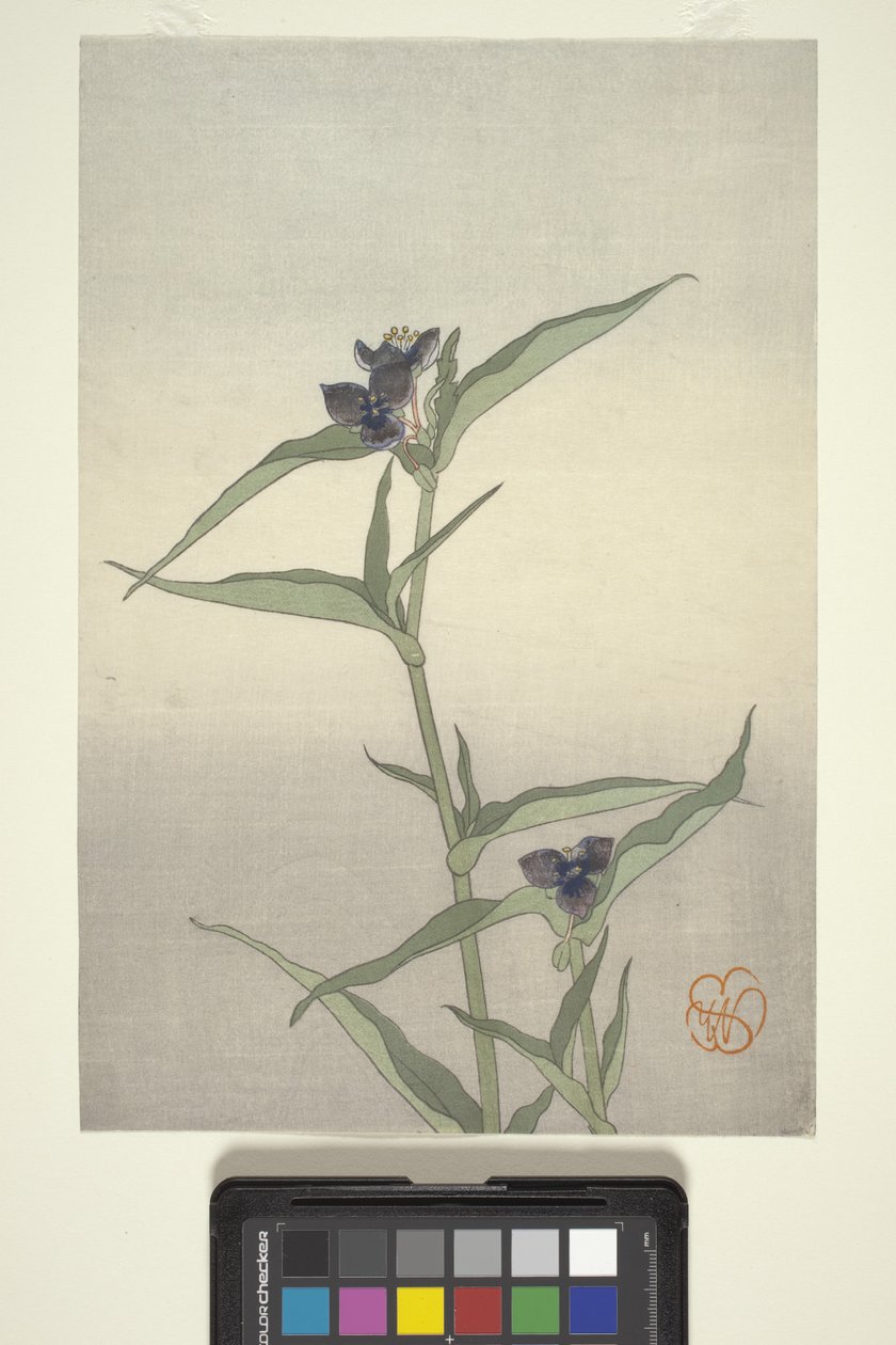 Blumenstudie, ca. 1908 von Wilhelmina Seegmiller