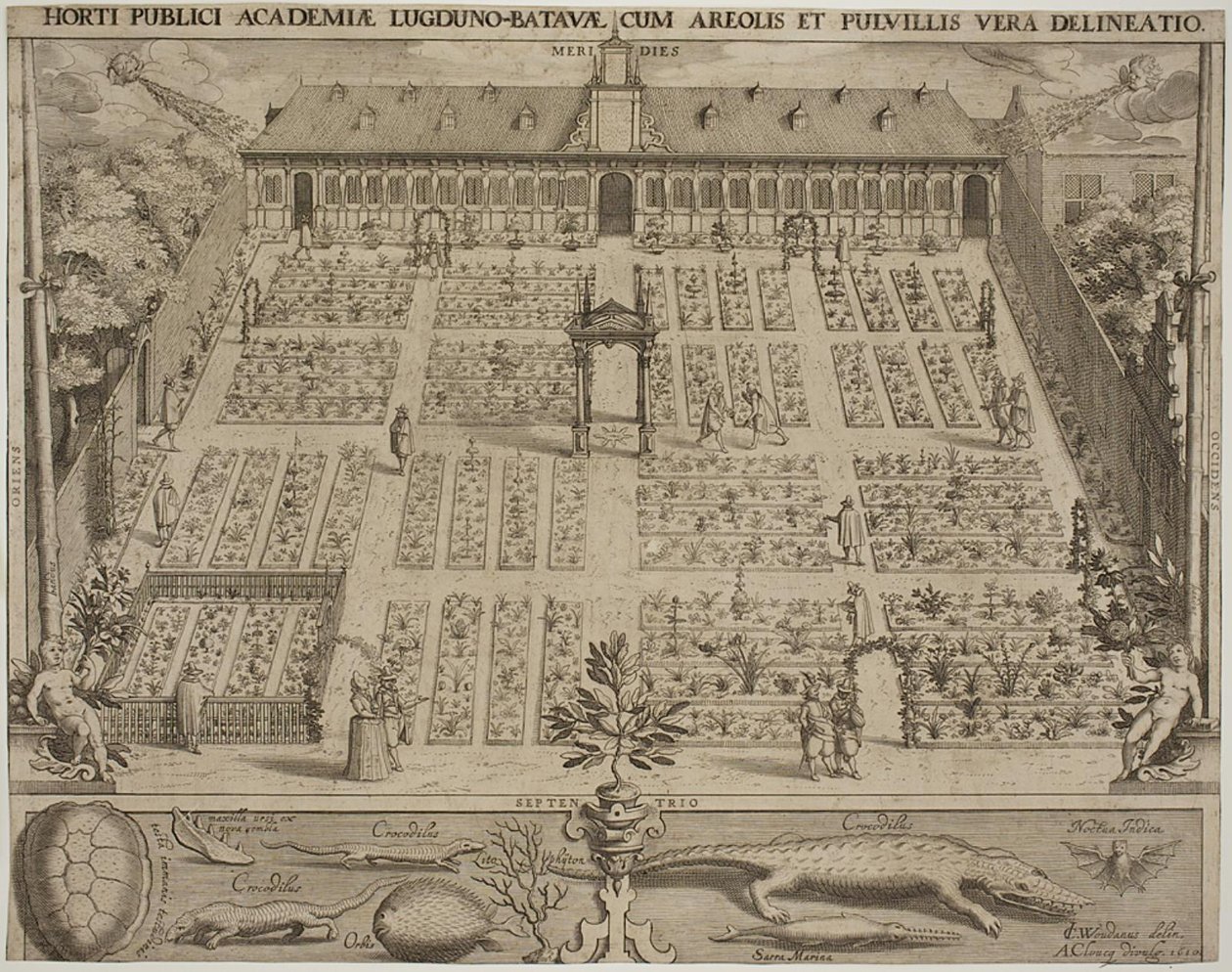 Der Botanische Garten in Leiden von Willem Isaaksz Swanenburgh