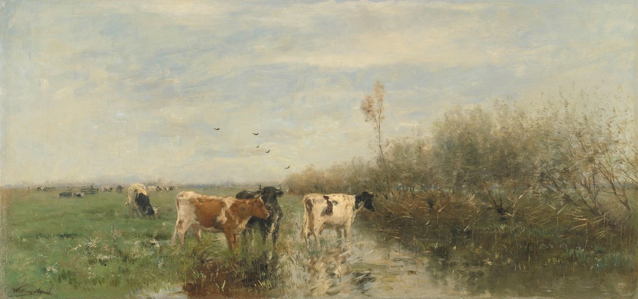 Kühe auf einer sumpfigen Wiese von Willem Maris