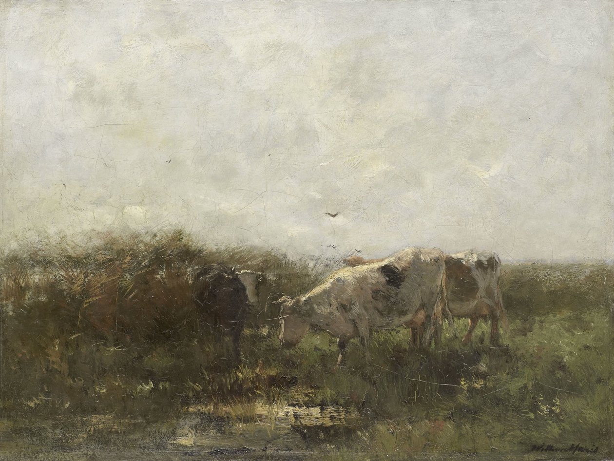 Kühe von Willem Maris