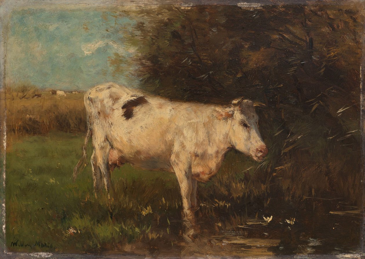 Weiße Kuh von Willem Maris