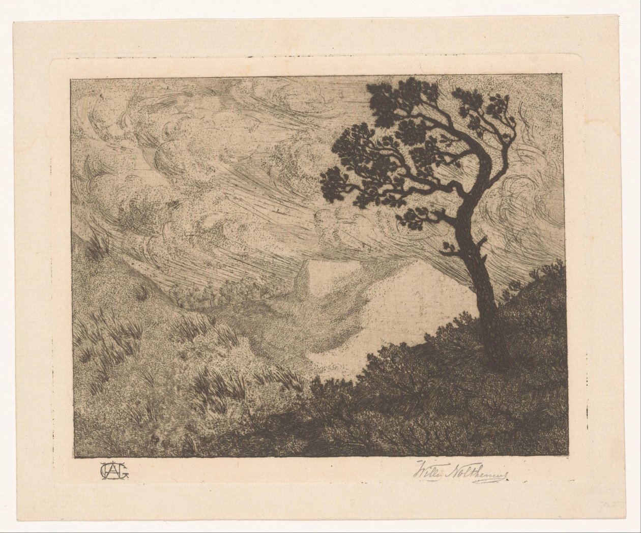 Baum in einer Hügellandschaft von Willem Nolthenius (signed by artist)