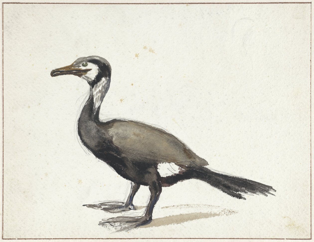 Kormoran von Willem Roelofs (I)
