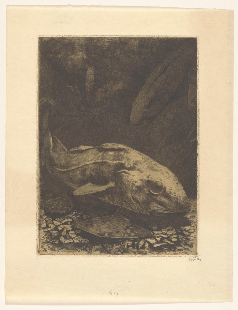 Fische und Wasserpflanzen von Willem Witsen (signed by artist)