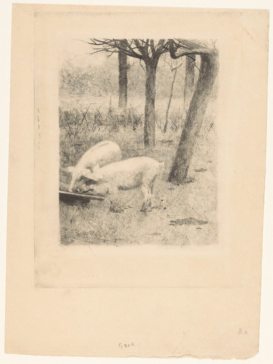 Zwei Schweine bei einem Trog von Willem Arnoldus Witsen