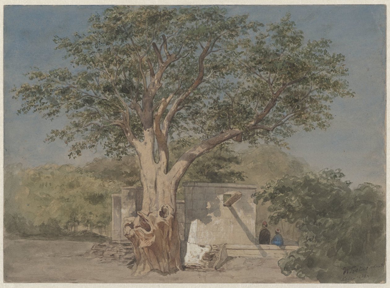 Hütte unter Baum in Kairo von Willem de Famars Testas