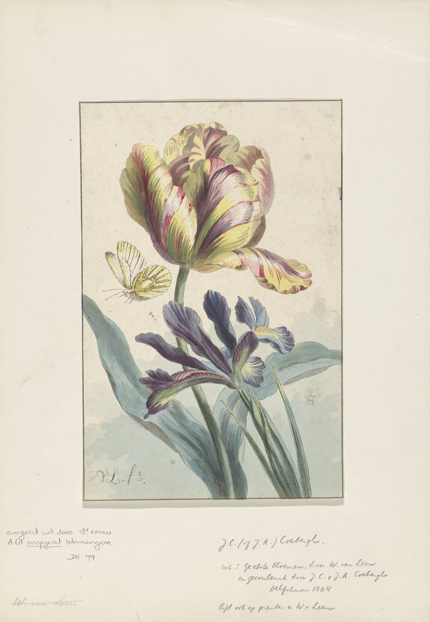 Tulpe und Iris von Willem van Leen