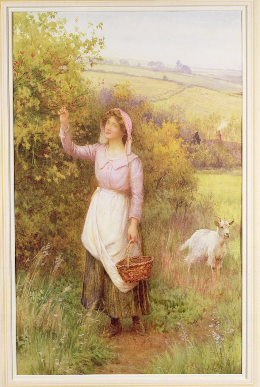 Blüten pflücken von William Affleck