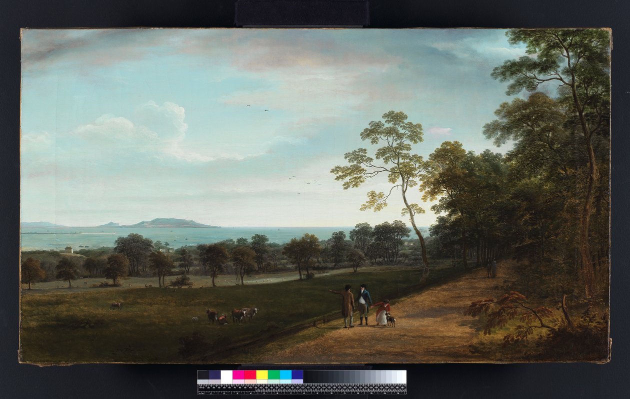 Blick in den Mount Merrion Park, 1806 von William Ashford