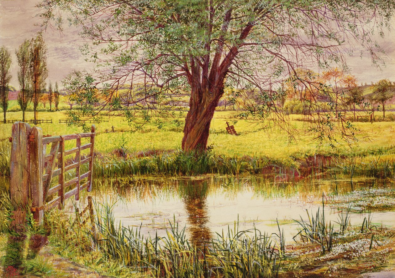 Wasserwiese, 1865 von William Bell Scott
