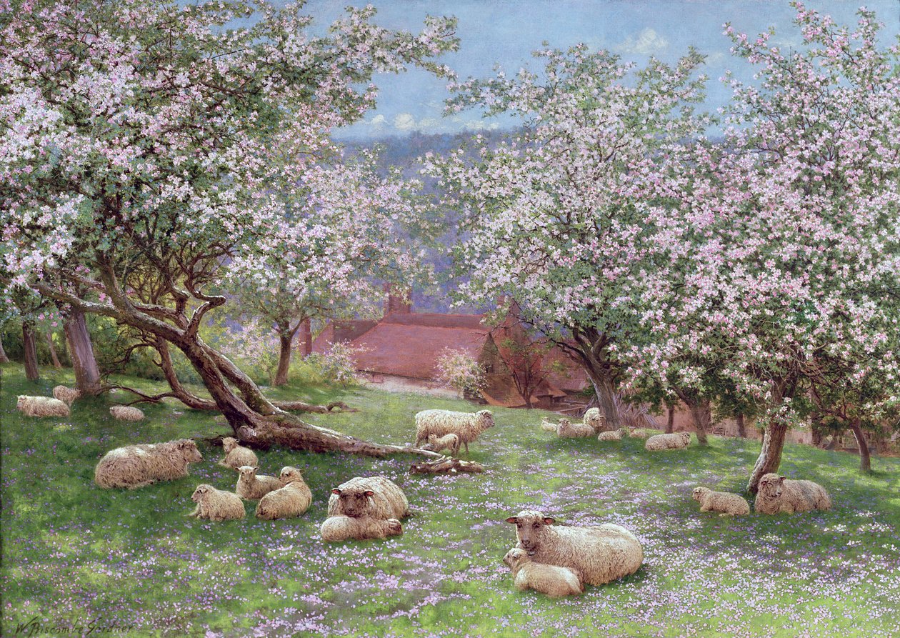 Apfelblüte von William Biscombe Gardner