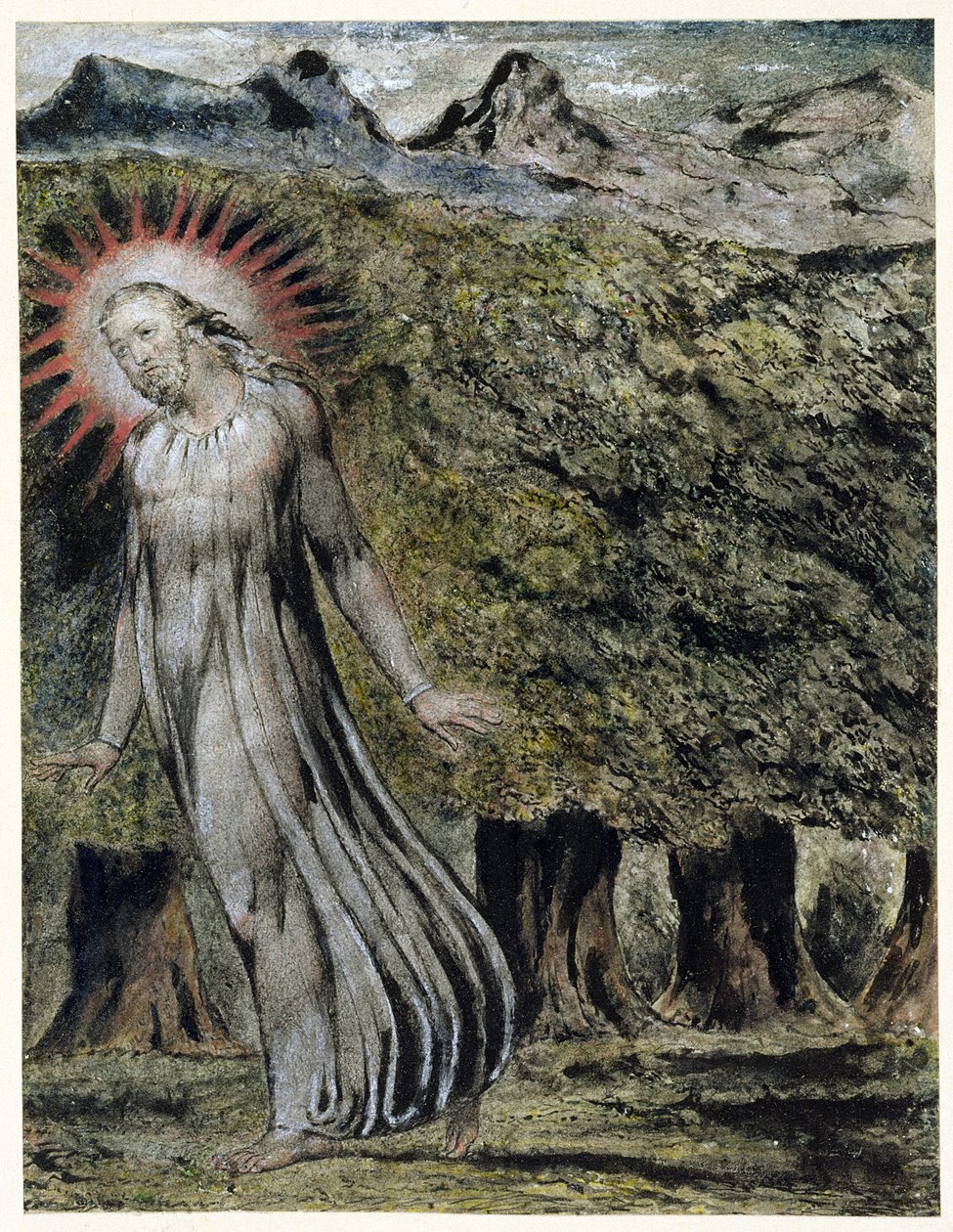 Ein Prophet in der Wildnis von William Blake