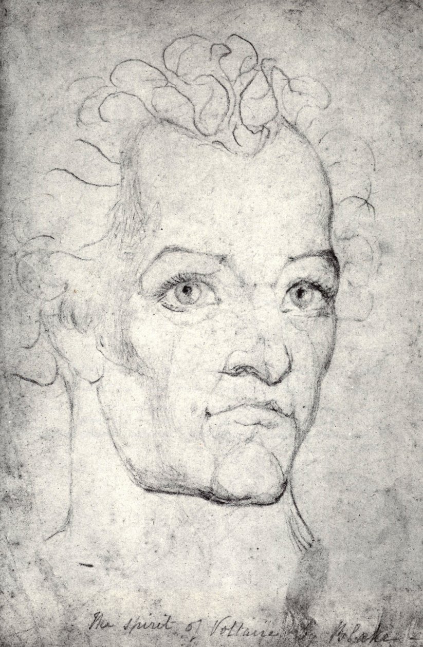 Kopf von Voltaire von William Blake