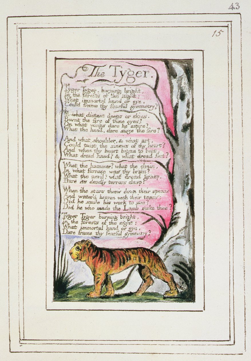 Der Tiger: Platte 43 aus 