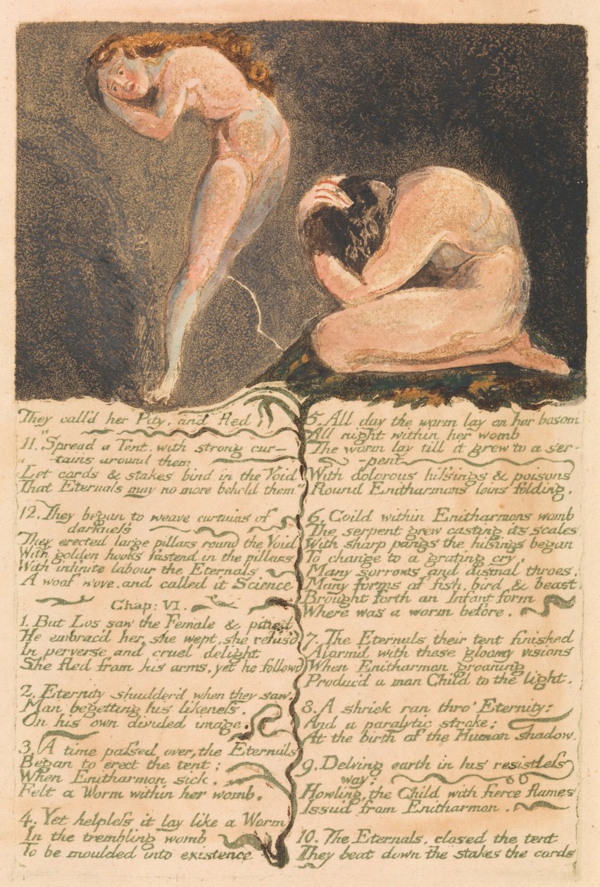 Das erste Buch von Urizen, Tafel 17, Sie nannten sie Mitleid und flohen . . . . (Bentley 19) von William Blake