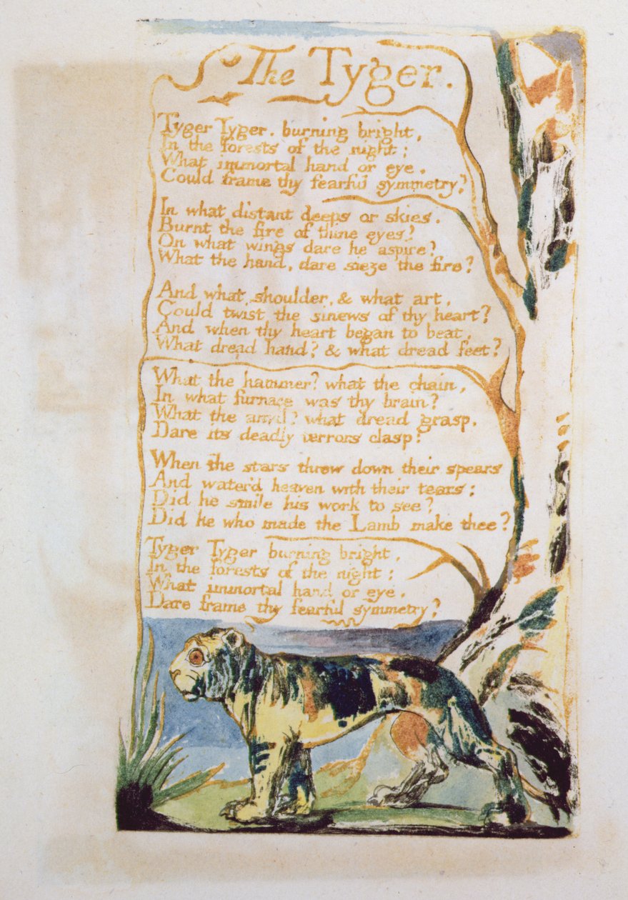 Der Tiger, aus Songs of Innocence von William Blake